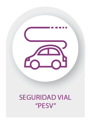 3.ICONO SEGURIDAD VIAL “PESV”